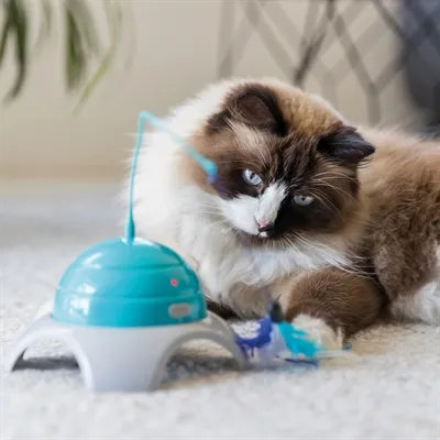 Trixie Catch Me 15x15x21 cm