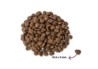 Renske Super Premium Adult Verse Zalm Graanvrij 6 kg