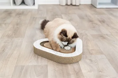 Trixie Krabplank Karton Met 2 Ballen 36x36x5 cm