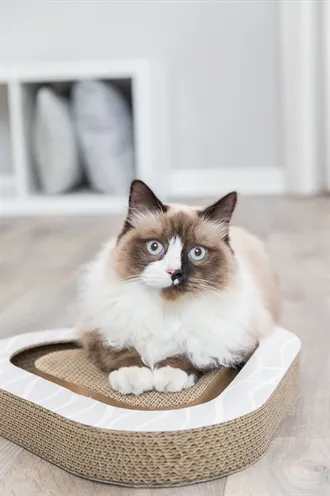 Trixie Krabplank Karton Met 2 Ballen 36x36x5 cm