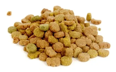 I Am Kattensnoep Rund 70 gr