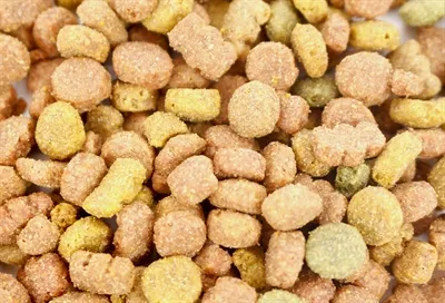 I Am Kattensnoep Rund 70 gr