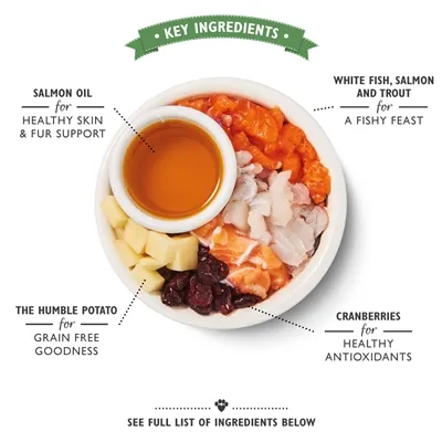 Lily's Kitchen Cat Fisherman's Feast Fish 800 gr