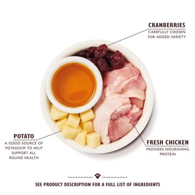 Lily's Kitchen Cat Adult Chicken Casserole 800 gr