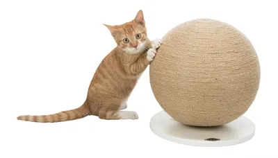 Trixie Krabpaal Bal Op Voet Jute / Hout 29x29x31 cm