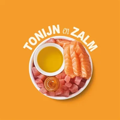 Lily's Kitchen Shredded Fillets Multipack 8x70 gr