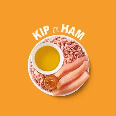 Lily's Kitchen Shredded Fillets Multipack 8x70 gr