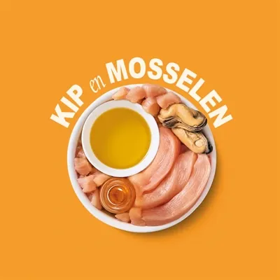 Lily's Kitchen Shredded Fillets Multipack 8x70 gr