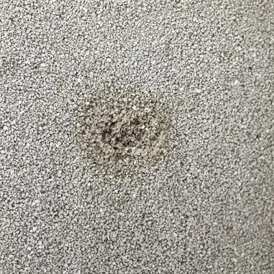 Easypets Premium Clean White Bentonite Kattenbakvulling 12 liter