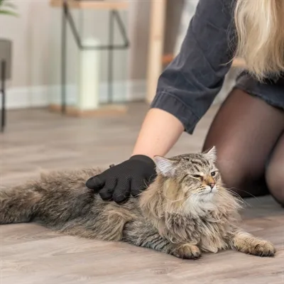 Trixie Vachtverzorgingshandschoen Mesh-materiaal / Tpr Roze / Zwart 16x24 cm