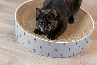 Trixie Krabmand Lilly Karton Catnip Lichtgrijs 45x45x10 cm