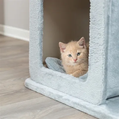 Trixie Krabpaal Elena Salie Groen 83 cm