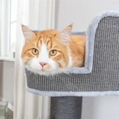 Trixie Krabpaal Ava Ii Xxl Grijs 112 cm