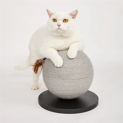 Fofos Krab Bal 30x30x27 cm