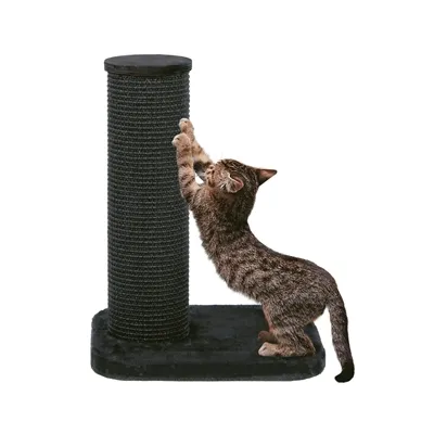 Zolux Krabpaal City Cat 1 Grijs 47x39x62 cm