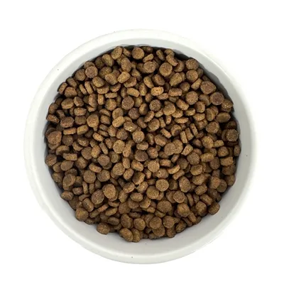 Budget Premium Quality Kitten 1 kg