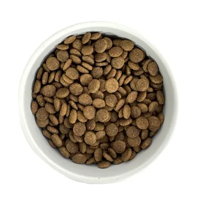 Budget Premium Quality Senior 1 kg