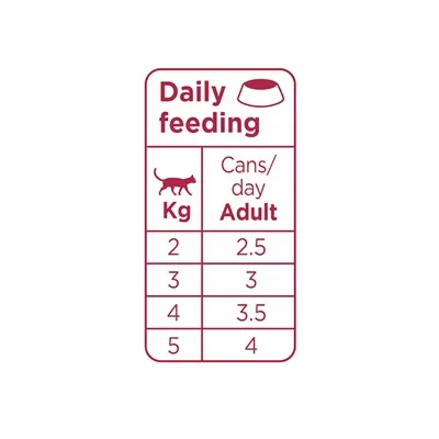 Prins Chunky Pate Chicken / Turkey 24x70 gr