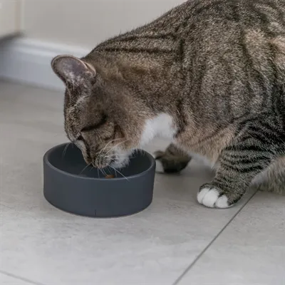 Trixie Voerbak Kat Keramiek Assorti 12 cm 150 ml