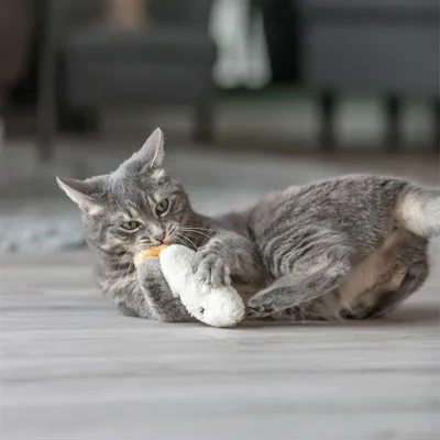 Trixie Sleepy Face Met Catnip Pluche Assorti 17 cm